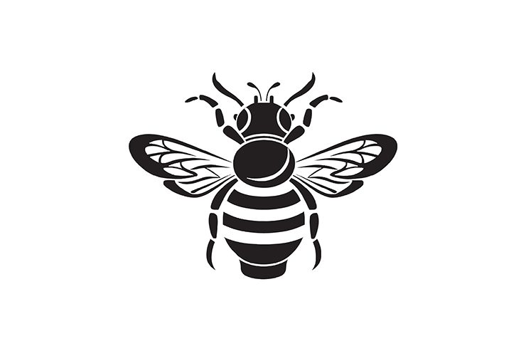 Honey bee illustration icon logo