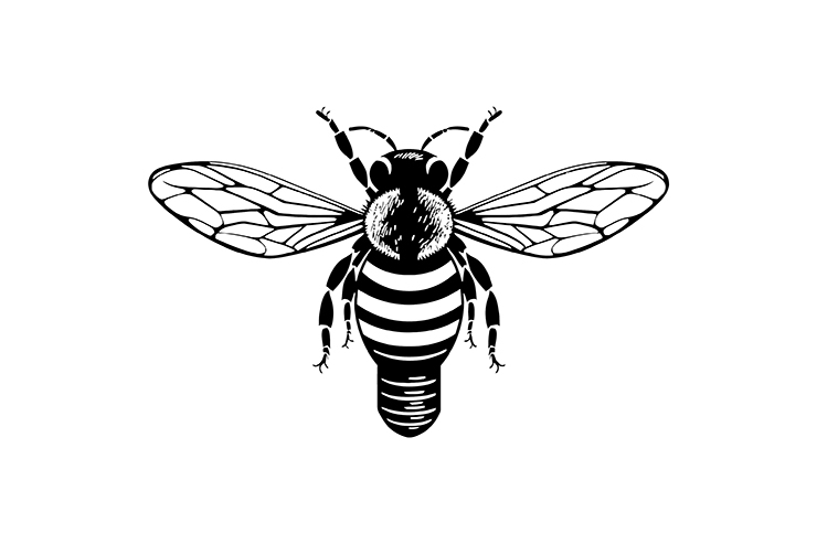 Honey bee illustration icon logo