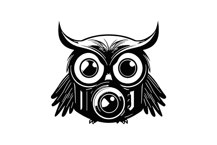 Owl with camera vector icon logo