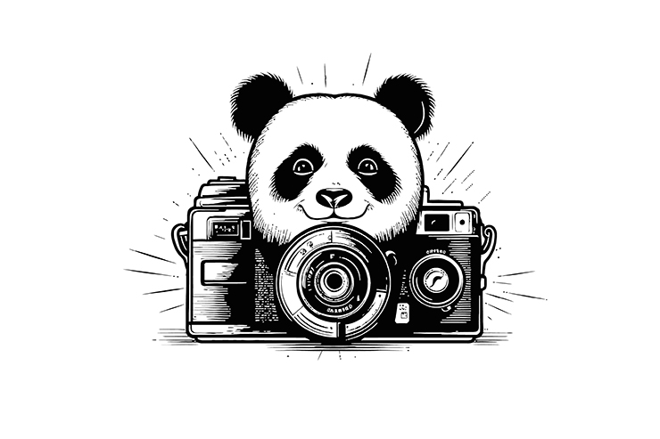 Panda behind the camera illustration icon logo