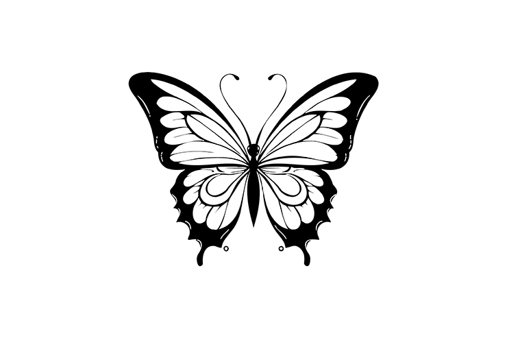 Butterfly illustration icon logo