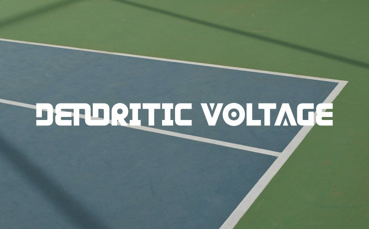 Dendritic Voltage