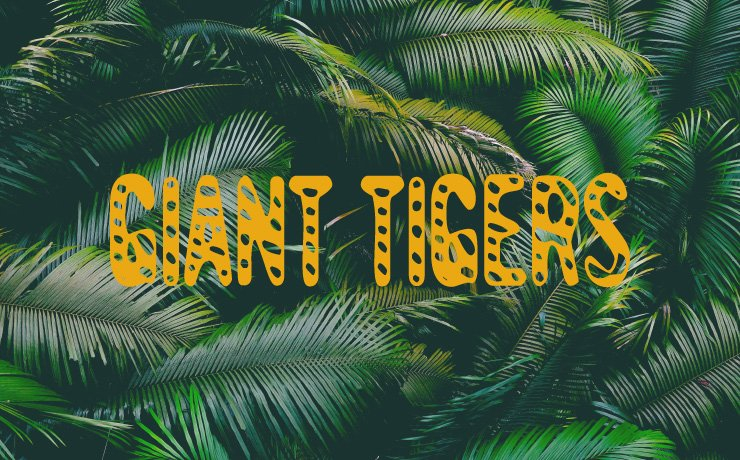 Giant Tigers