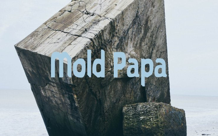 Mold Papa