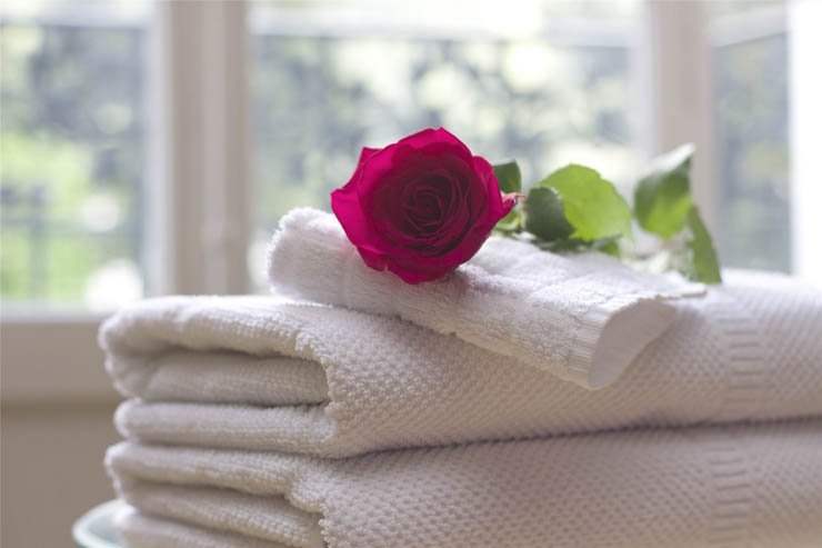 Spa flower rose roses flowers towel towels room window relax relaxation