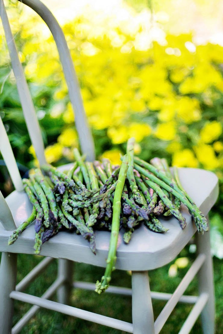 Vegetables asparagus flower chair food vegetable eat kitchen
