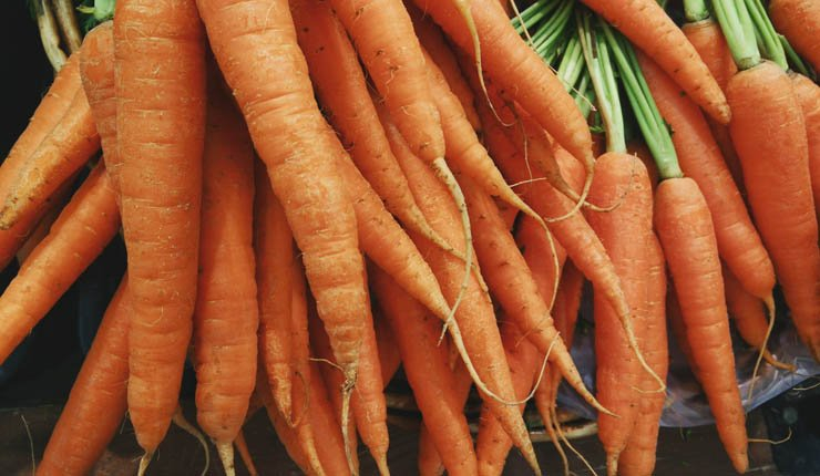 Vegetables carrot carrots vegetable green vegetable food salad health healthy eat kitchen