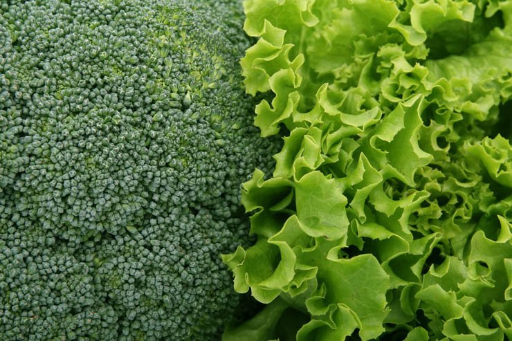 Vegetables lettuce broccoli food eat vegetable kitchen green salad