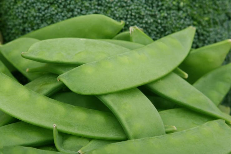 Vegetables peas green vegetable eat food kitchen health healthy