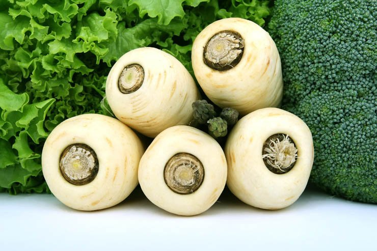 Vegetables turnips vegetable lettuce asparagus broccoli salad eat food kitchen health healthy