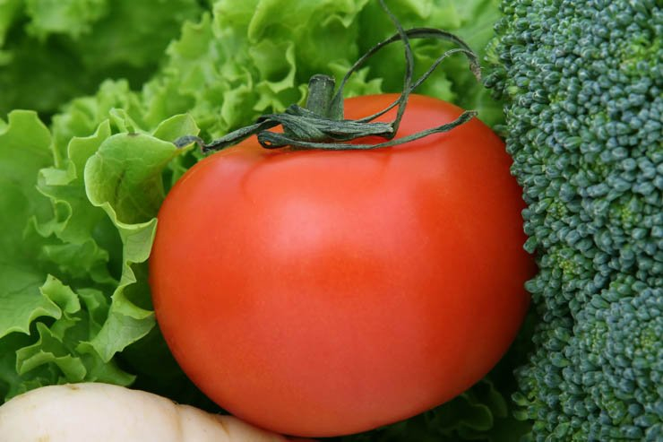 Vegetables turnips vegetable tomato tomatos lettuce broccoli salad eat food kitchen health healthy