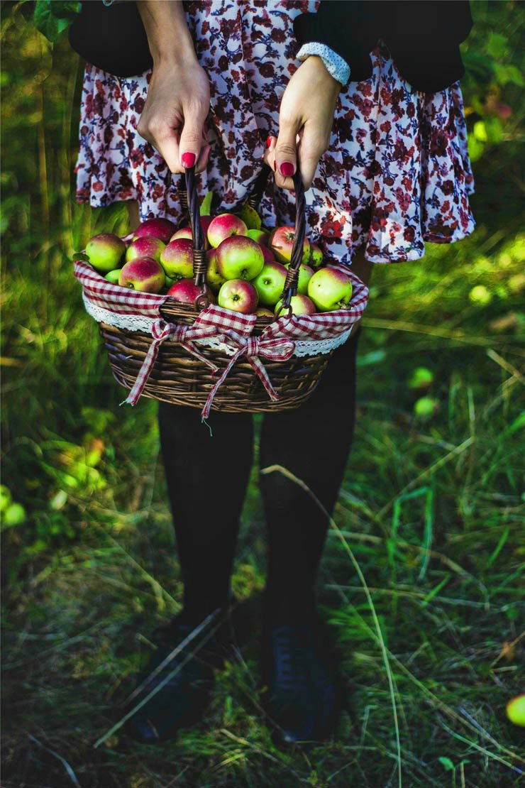 apple basket harvest collect girl female woman farm forest tree trees healthy fruit fruits health food