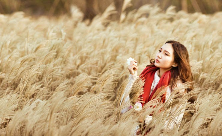 asian girl woman model scarf fashion model barley wheat field farm nature