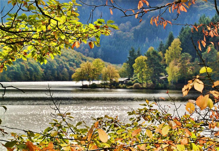 beautiful lake autumn forest sunny day