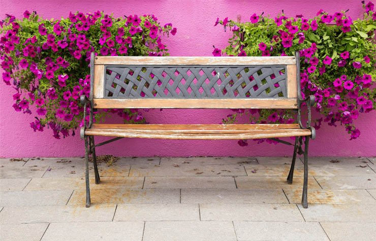 bench seat flower flowers spring purple pink wood wooden