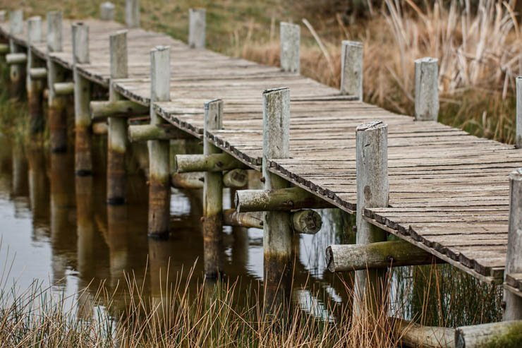 bridge wood wooden lake nature cross pathway