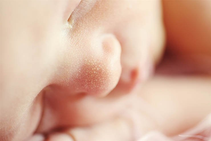 close up baby new born nose face