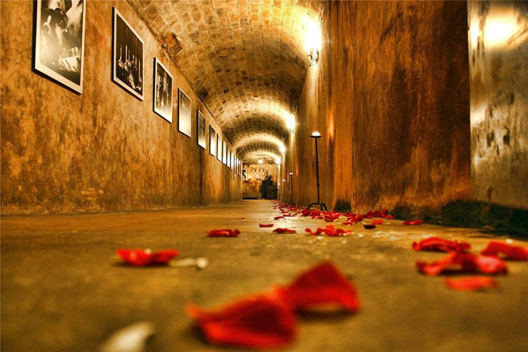corridor red light wall pictures flower rose petal