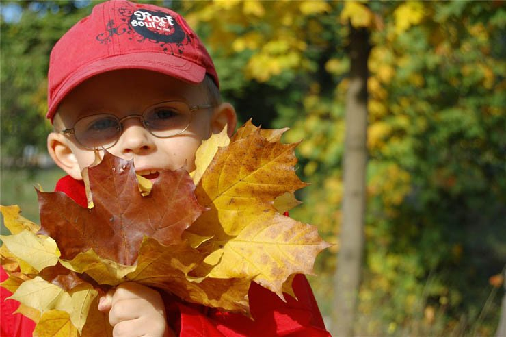 cute boy holding leaves autumn glasses kid kids