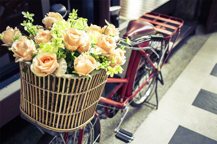 flower flowers floral spring nature plant plants basket bicycle bike bikes rose roses