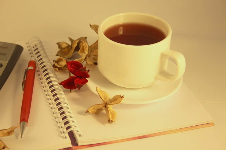 flowers pencil calculator study tea drink study work morning cup mug