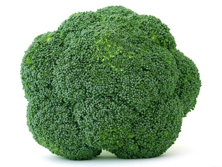 food health eat healthy vegetable vegetables broccoli