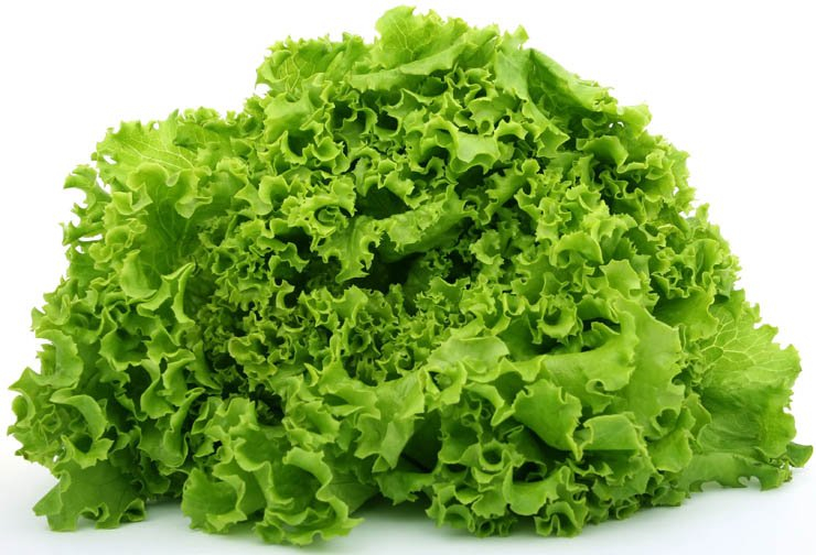 food health eat healthy vegetable vegetables green lettuce salad