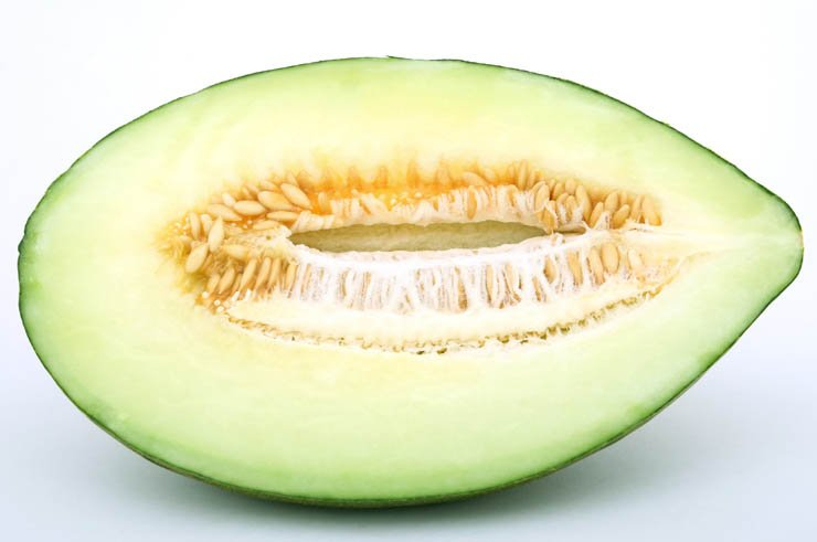 food health eat healthy vegetable vegetables melon fruit fruits cantaloupe