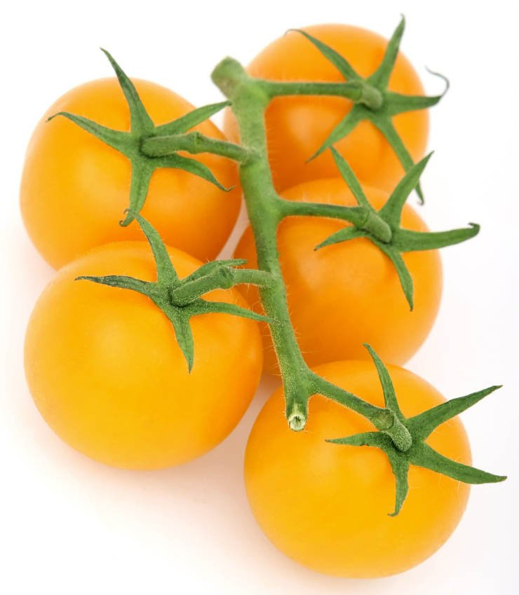 food health eat healthy vegetable vegetables orange yellow tomato