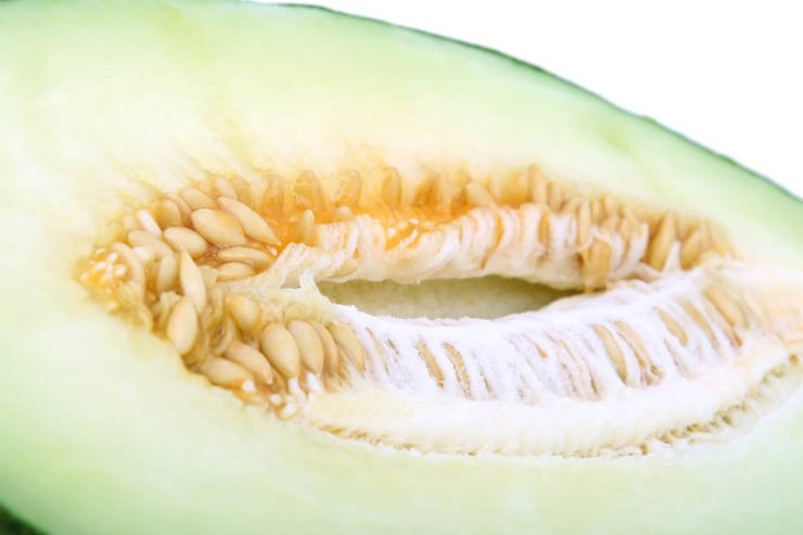 food health eat healthy vegetable vegetables seed seeds melon fruit fruits cantaloupe