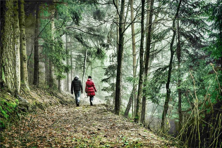 forest couple walking wood tree nature man woman lady back