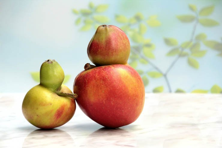 fruit fruits health healthy food apple apples table