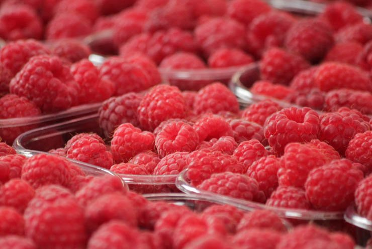 fruit fruits health healthy food berry berries blackberry