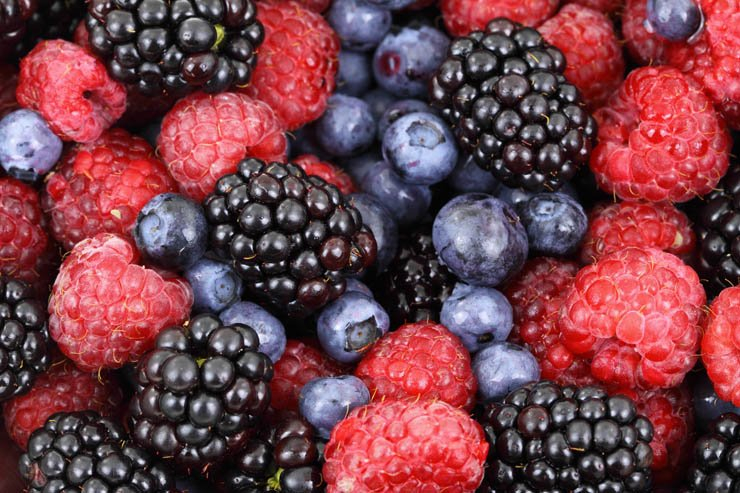 fruit fruits health healthy food berry berries blackberry blueberry
