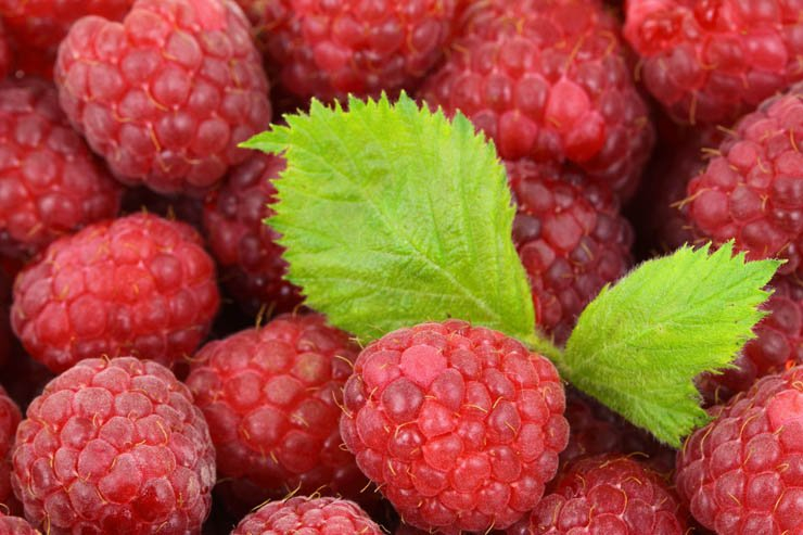 fruit fruits health healthy food berry blackberry leaf