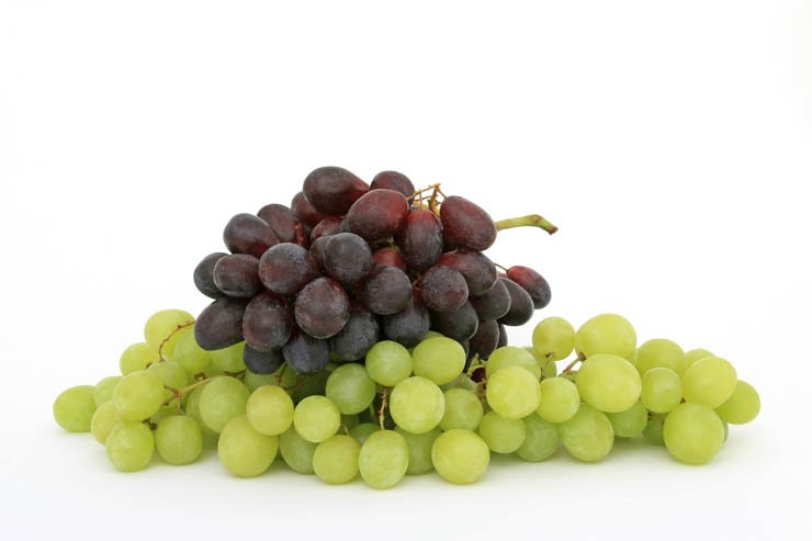 fruit fruits health healthy food grapes isolated