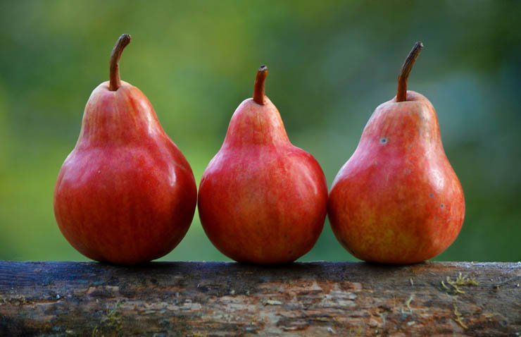 fruit fruits health healthy food pear pears fresh harvest
