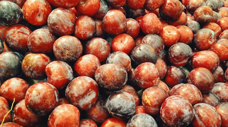 fruit fruits health healthy food plum plums