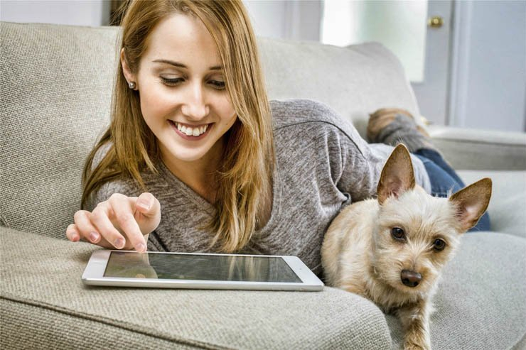 ipad tablet tech technology dog dogs pet sofa couch scroll browse girl lady woman smile happy