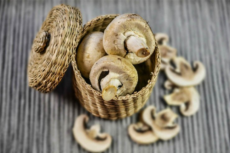 mushroom basket health healthy food eat cook cooking