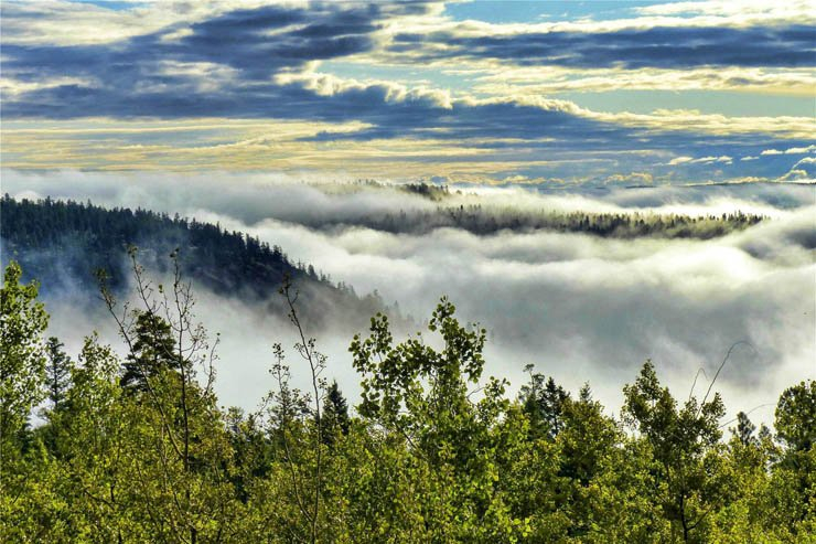 nature natural sky cloud clouds mountain cloudy fog forest horizon