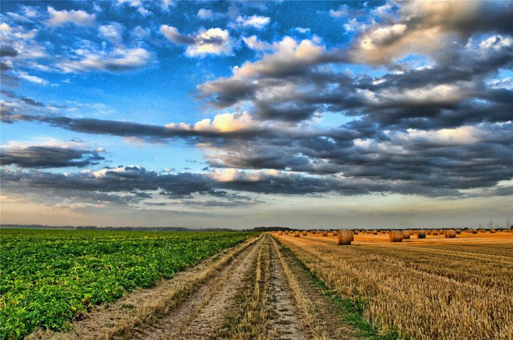 nature natural sky cloud cloudy clouds field farm