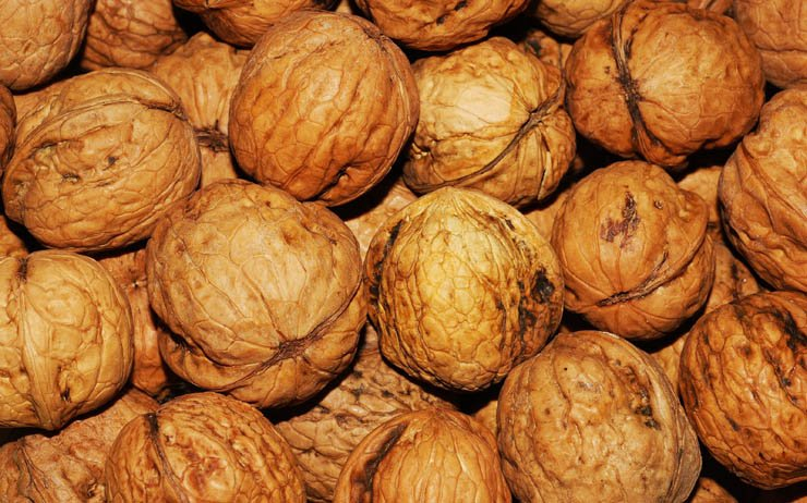 nuts snacks raw food eat