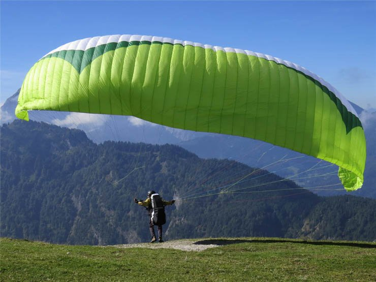 parachuting paragliding parachute natural forest tree trees