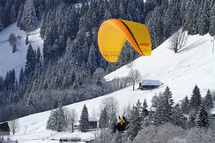 parachuting paragliding parachute snow forest tree trees