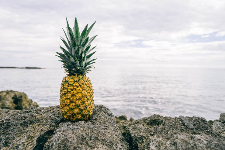 pineapple fruit fruits eat food health healthy sea water ocean sky