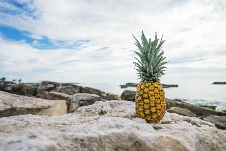 pineapple fruit fruits eat food health healthy sea water ocean sky rock rocks