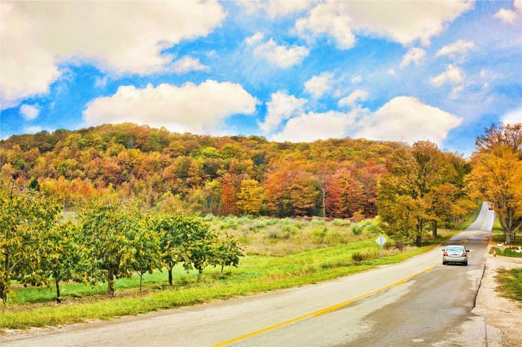 road autumn trees jungle forest nature sky