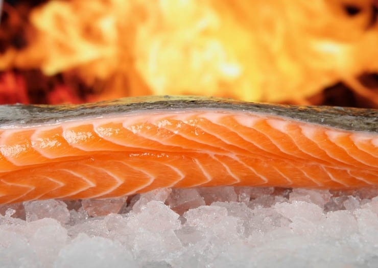 seafood food sea kitchen restaurant cook cooking eat fish ice flame freeze frozen salamon fire