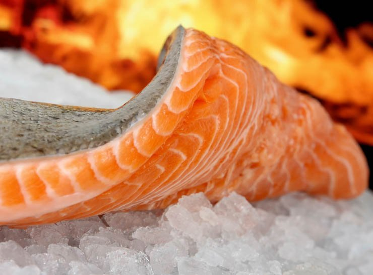 seafood food sea kitchen restaurant cook cooking eat salamon flame ice fire freeze frozen